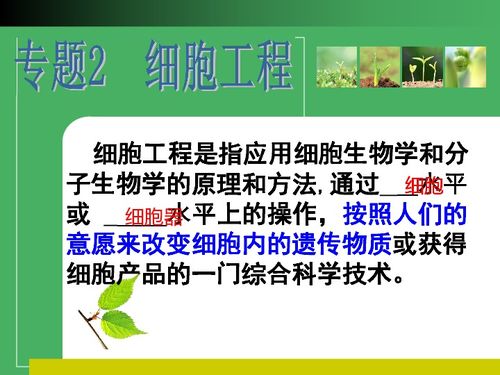 植物细胞工程 从实验室到田间的建筑安全检查清单